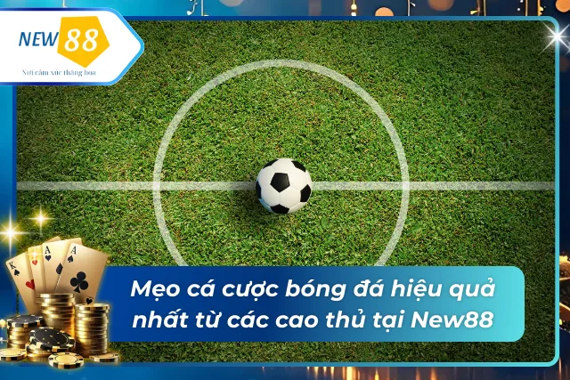 Kinh nghiệm cược bóng đá tại New88 hiệu quả nhất từ trước đến nay