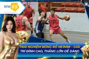 Bóng Rổ New88