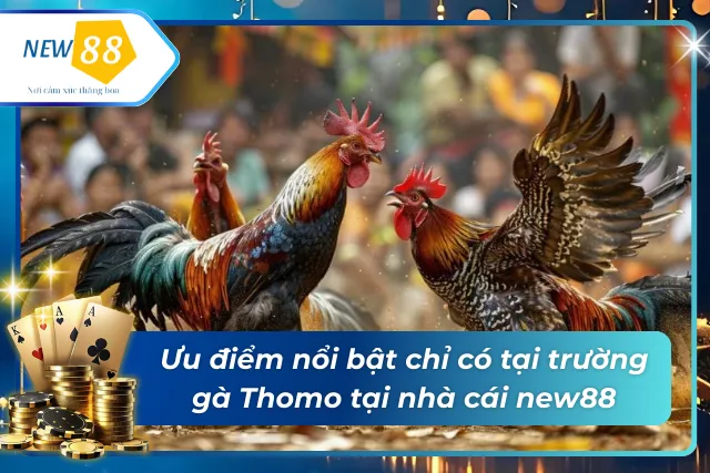 Ưu điểm chỉ có tại new88
