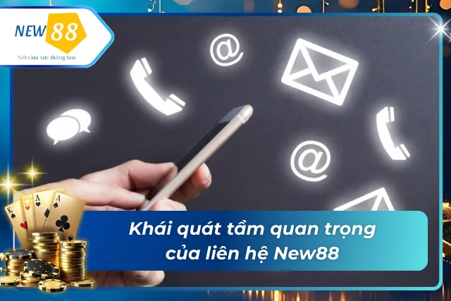 Lý do Newbie nên liên lạc đến với New88