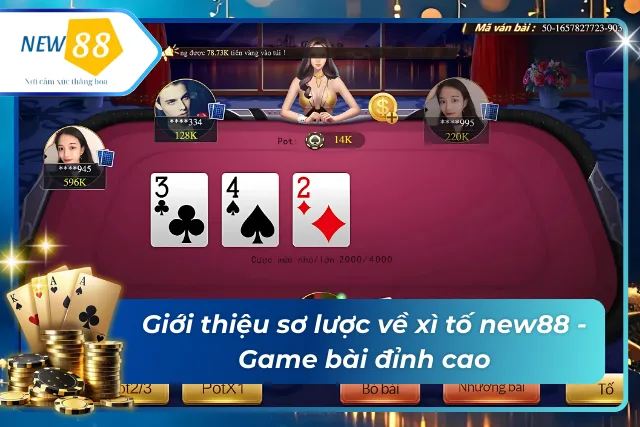 Sơ lược về xì tố