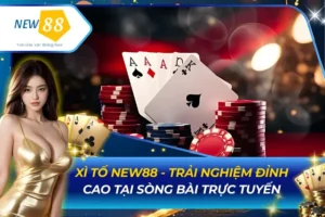 Xì Tố new88